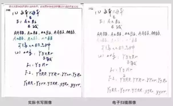 福建教師招聘考試筆試卷面失分案例
